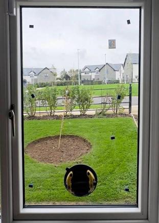 window repair newbridge